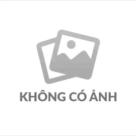 CƠM CHIÊN TỎI